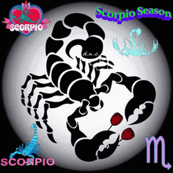 Scorpion Scorpio Season GIF