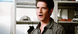 Scott McCall Teen Wolf Are You Kidding GIF