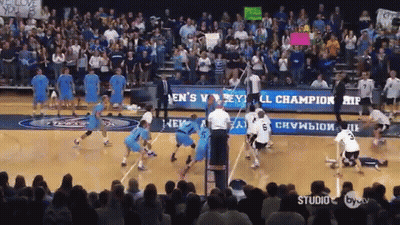 Scott Sterling GIF