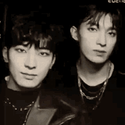 Scoupsgenre Seventeen GIF