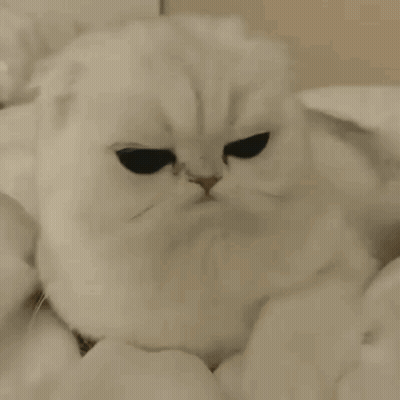 Scram Written On Face GIF