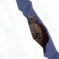 Scrat Saving His Acorn GIF