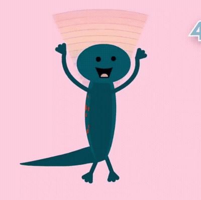Scratch Garden GIF