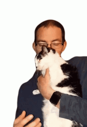 Scratches Human Grumpy Cat GIF