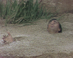 Screaming While Sinking On A Quicksand GIF