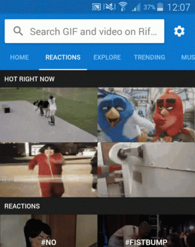 Screenshot Of GIF And Video Search On Rif GIF