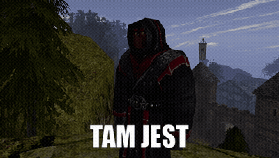 Screenshot Of Video Game With Tam Jest GIF
