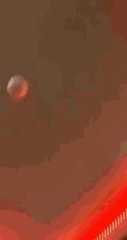 Screenshot Picture GIF