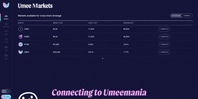 Screenshot Saying Connecting To Umeemania GIF
