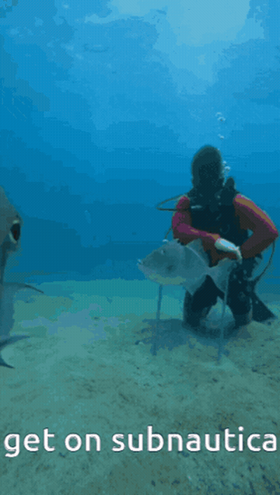 Scuba Diver And Fish With Get On Subnautica GIF