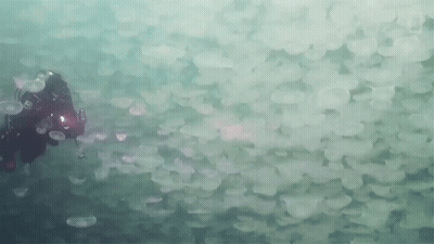 Scuba Diver Surrounded By Jellyfish GIF