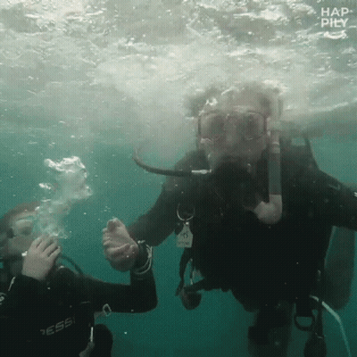 Scuba Diver Wearing 'A' Tag Underwater GIF