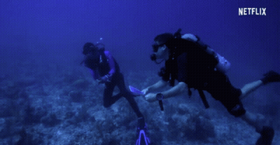 Scuba Divers Holding Hands With Netflix Logo GIF