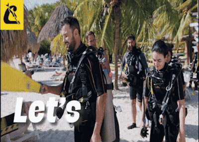 Scuba Divers On Beach With Lets GIF