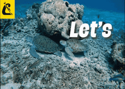 Scuba Diving Cressi Let's Go GIF