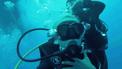 Scuba Diving Exploration GIF