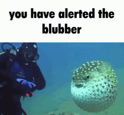 Scuba Steve Alerted The Blubber GIF