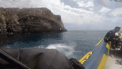 Scuba Steve Goes Back To The Boat GIF