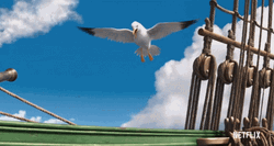 Sea Beast Film Seagull Landing  GIF