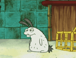 Sea Bunny Starving GIF