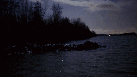 Sea GIF