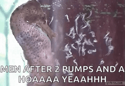 Sea Horse Babies GIF