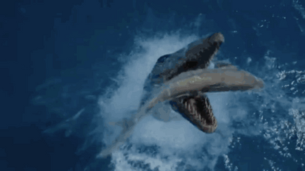 Sea Mosasaurus Monster GIF