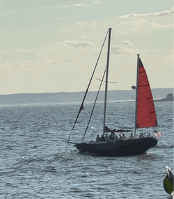 Sea Ocean GIF