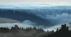 Sea Of Clouds Flowing Above Mountain
