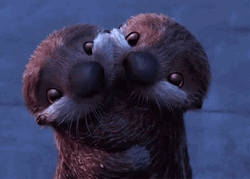 Sea Otters Hug
