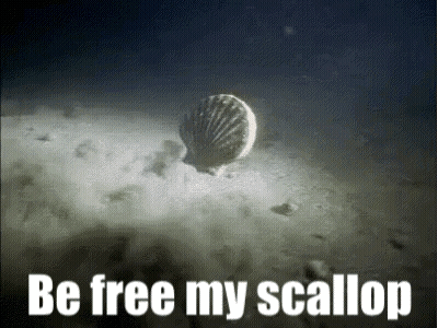 Sea Shell Floating Saying Be Free My Scallop GIF
