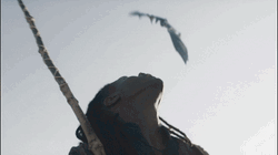 Sea Smoke Vhagar Dragon GIF