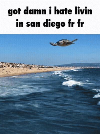 Sea Turtle Flying Over Ocean Saying Got Damn I Hate Livin In San Diego GIF