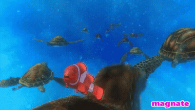 Sea Turtles And Clown Fish With Magnate GIF