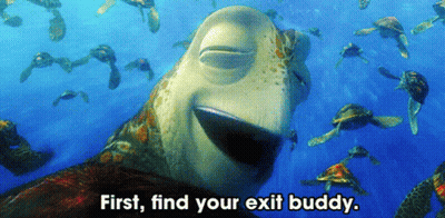 Sea Turtles First Find Your Exit Buddy GIF