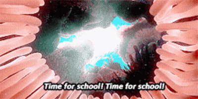 Sea Turtles Swimming Around Blue Fish GIF