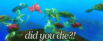 Sea Turtles Swimming Did You Die GIF