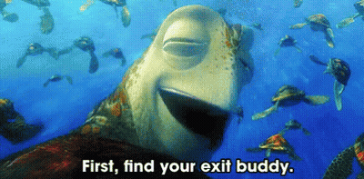Sea Turtles Swimming First Find Your Exit Buddy GIF