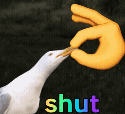 Seagull Fed By Hand Saying Shut GIF