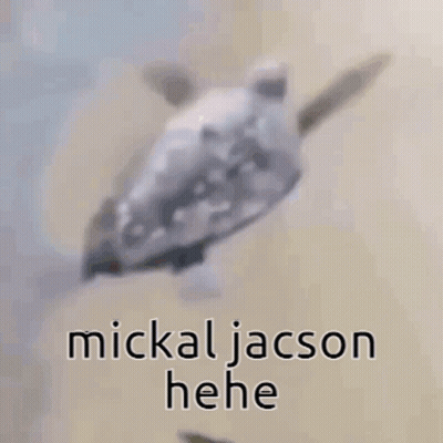 Seagull Flying Over Sandy Beach Saying Mickal Jacson Hee GIF