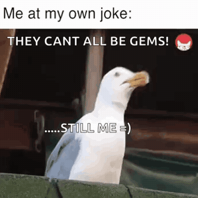 Seagull Ledge Me At My Own Joke They Cant All Be Gems GIF
