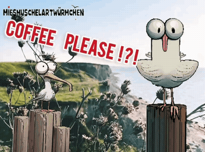 Seagull Standing On Post Saying Coffee Please GIF