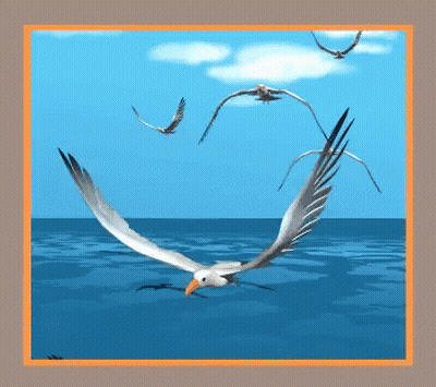Seagulls Flying Over Blue Ocean GIF