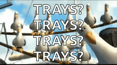 Seagulls Sitting On A Wire With The Words Trays Trays Trays GIF