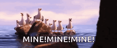 Seagulls Standing On Rocks Shouting Mine GIF
