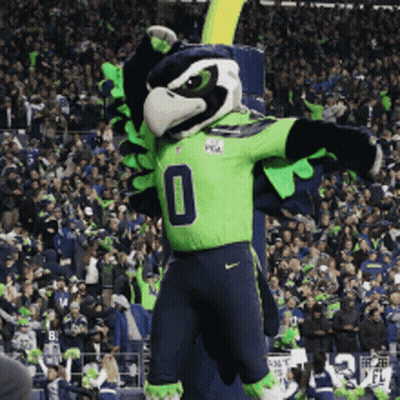 Seahawks Mascot In Front Of Crowd GIF