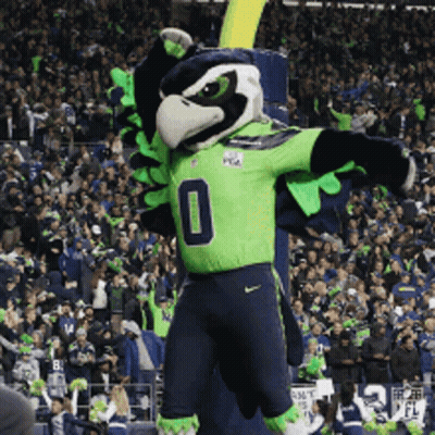 Seahawks Mascot In Front Of Crowd GIF
