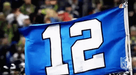 Seahawks Seattle GIF