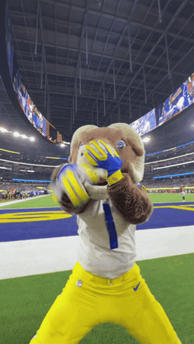Seahawks Vs Rams Football Game On Fox NFL GIF