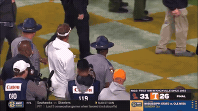 Seahawks Vs Steelers Game GIF